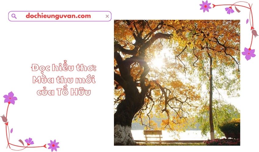 Đọc hiểu thơ: Mùa thu mới của Tố Hữu