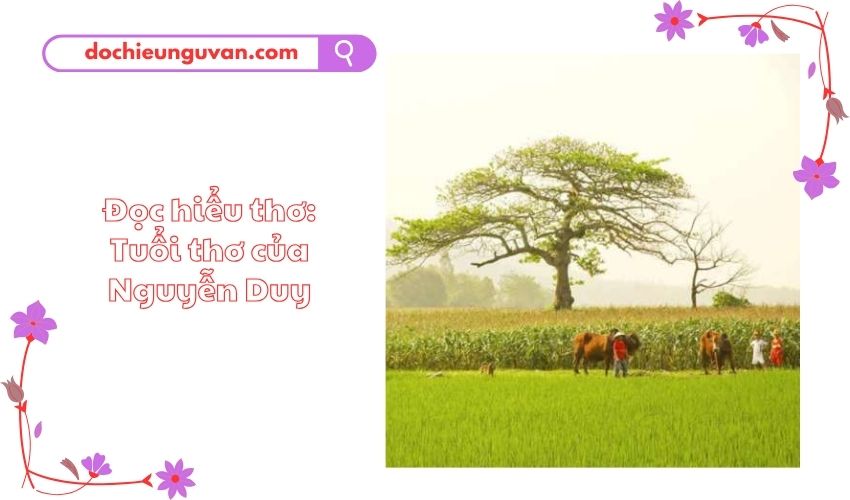 Đọc hiểu thơ: Tuổi thơ của Nguyễn Duy