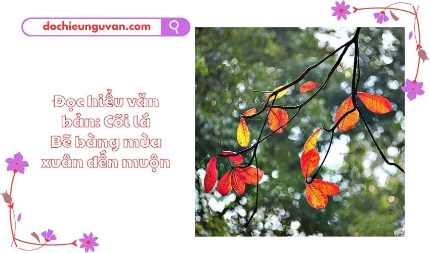 Đọc hiểu văn bản: Cõi lá Bẽ bàng mùa xuân đến muộn