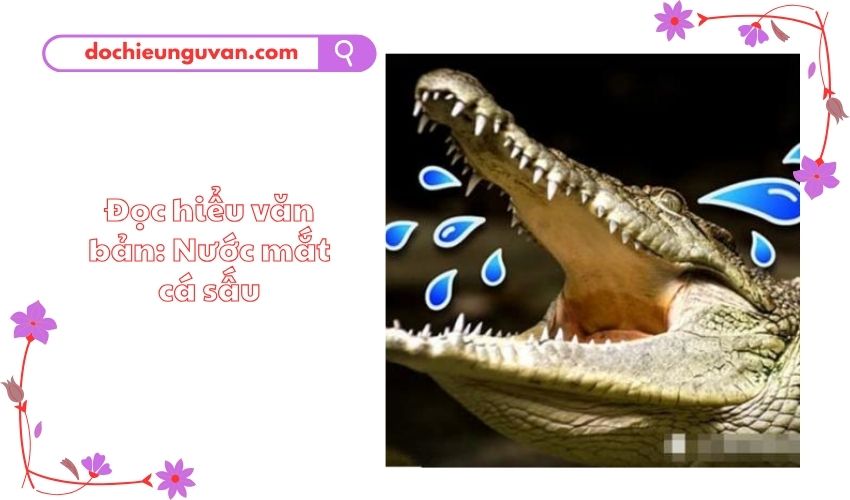 Đọc hiểu văn bản: Nước mắt cá sấu