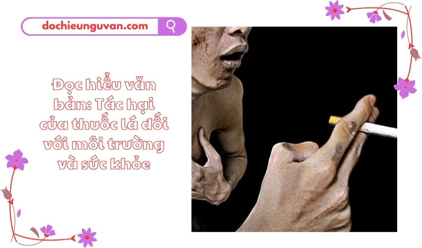 Đọc hiểu văn bản: Tác hại của thuốc lá đối với môi trường và sức khỏe