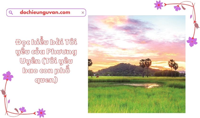 Đọc hiểu bài Tôi yêu của Phương Uyên (Tôi yêu bao con phố quen)