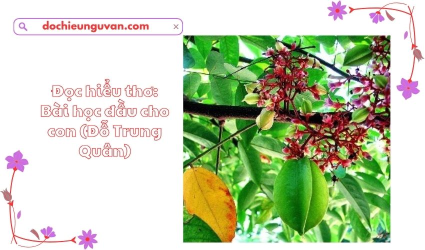 Đọc hiểu thơ: Bài học đầu cho con (Đỗ Trung Quân)