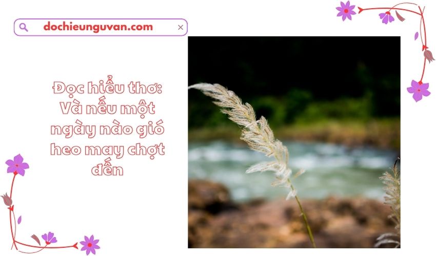 Đọc hiểu thơ: Và nếu một ngày nào gió heo may chợt đến