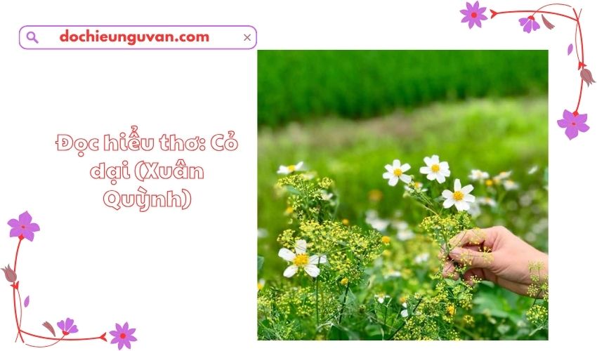 Đọc hiểu thơ: Cỏ dại (Xuân Quỳnh)