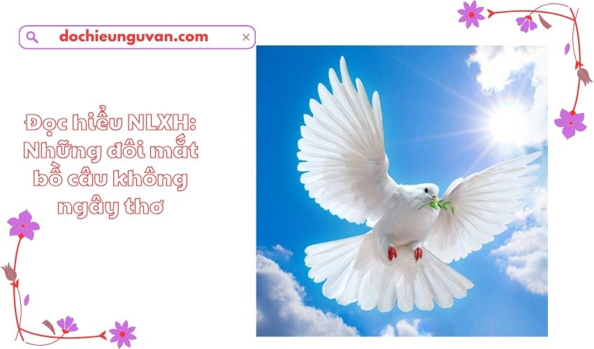 Đọc hiểu NLXH: Những đôi mắt bồ câu không ngây thơ