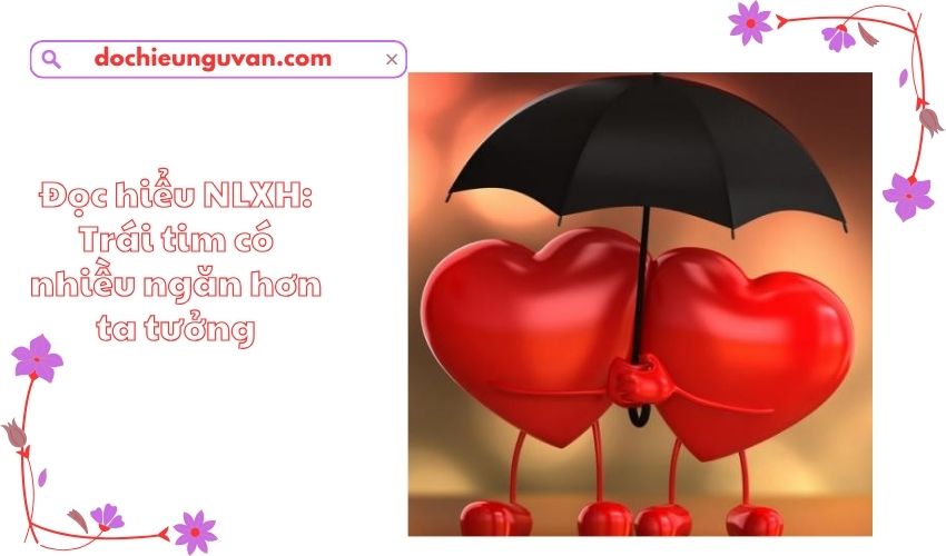 Đọc hiểu NLXH: Trái tim có nhiều ngăn hơn ta tưởng