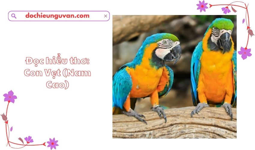 Đọc hiểu thơ: Con Vẹt (Nam Cao)