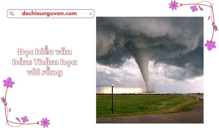 Đọc hiểu văn bản: Thảm họa vòi rồng