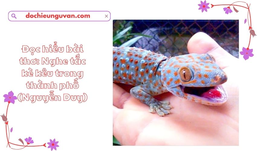 Đọc hiểu bài thơ: Nghe tắc kè kêu trong thành phố (Nguyễn Duy) 