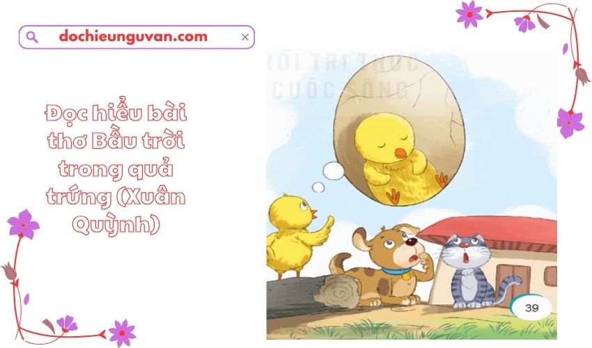 Đọc hiểu bài thơ Bầu trời trong quả trứng (Xuân Quỳnh)