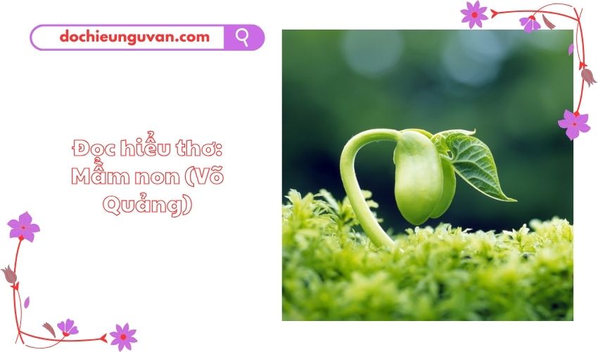 Đọc hiểu thơ: Mầm non (Võ Quảng)