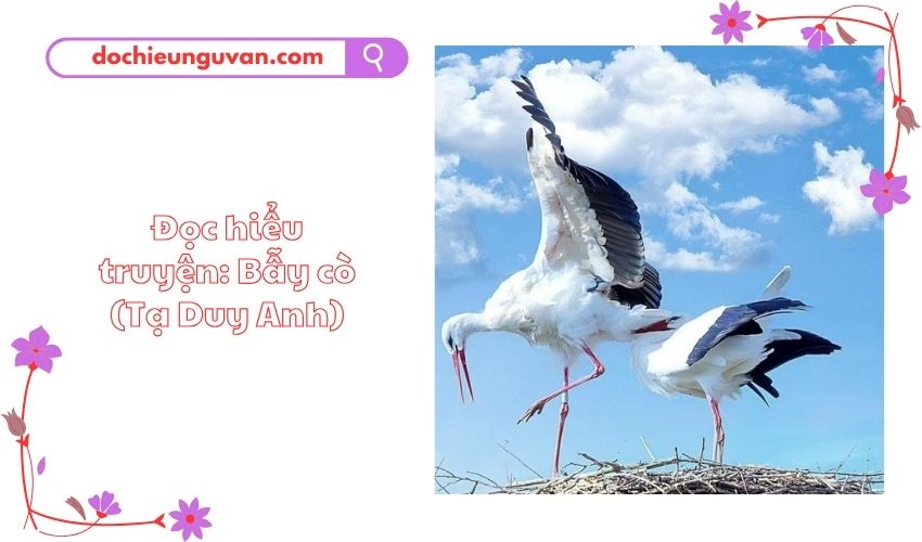 Đọc hiểu truyện: Bẫy cò (Tạ Duy Anh)