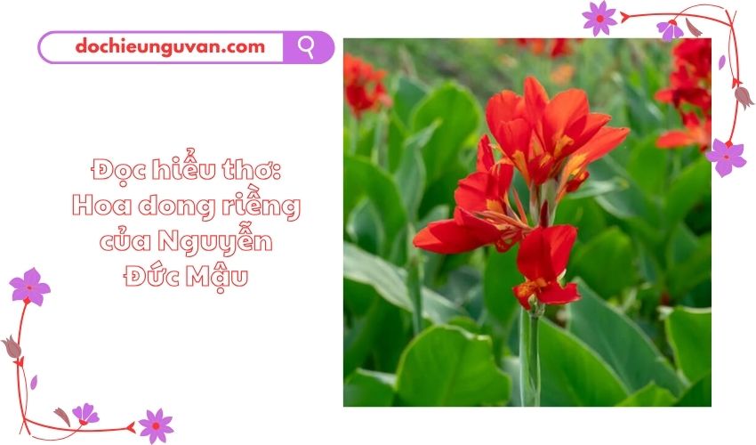 Đọc hiểu thơ: Hoa dong riềng của Nguyễn Đức Mậu