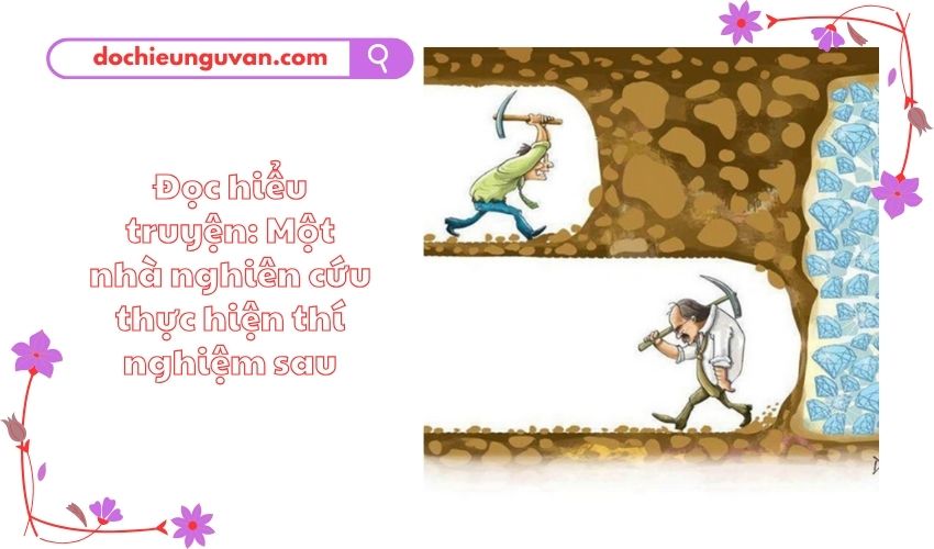 Đọc hiểu truyện: Một nhà nghiên cứu thực hiện thí nghiệm sau