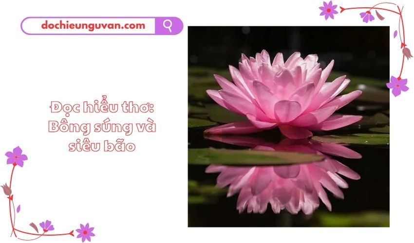 Đọc hiểu thơ: Bông súng và siêu bão