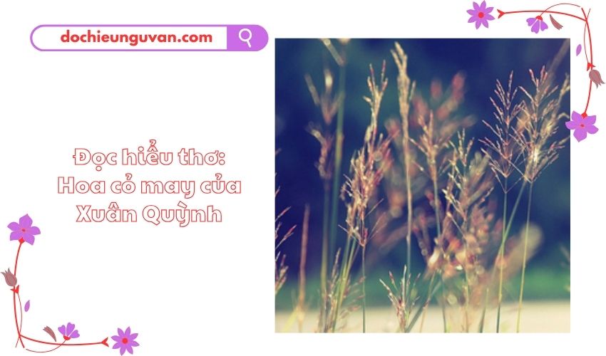 Đọc hiểu thơ: Hoa cỏ may của Xuân Quỳnh
