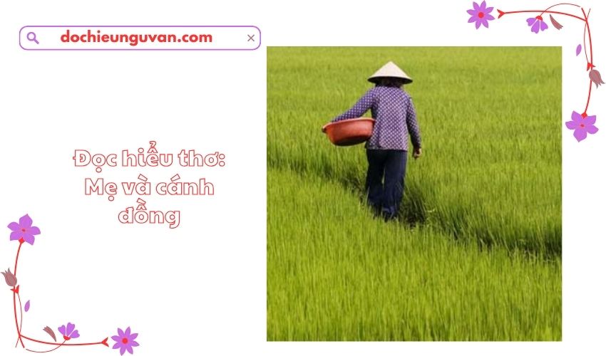 Đọc hiểu thơ: Mẹ và cánh đồng