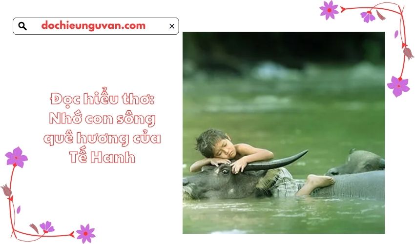 Đọc hiểu thơ: Nhớ con sông quê hương của Tế Hanh