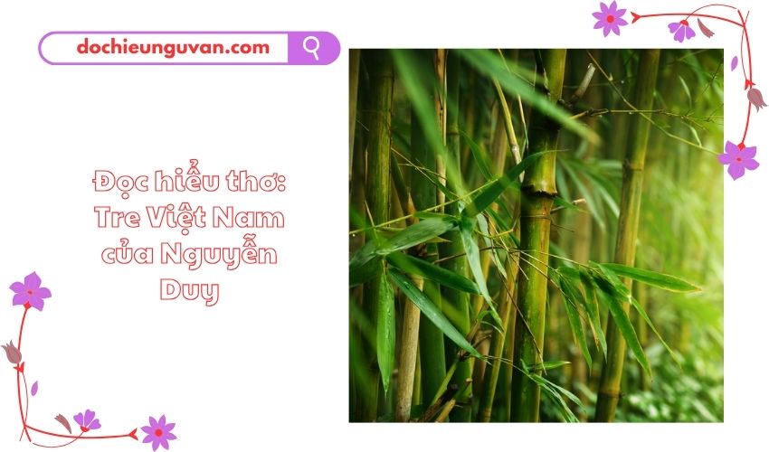 Đọc hiểu thơ: Tre Việt Nam của Nguyễn Duy