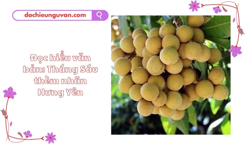 Đọc hiểu văn bản: Tháng Sáu thèm nhãn Hưng Yên