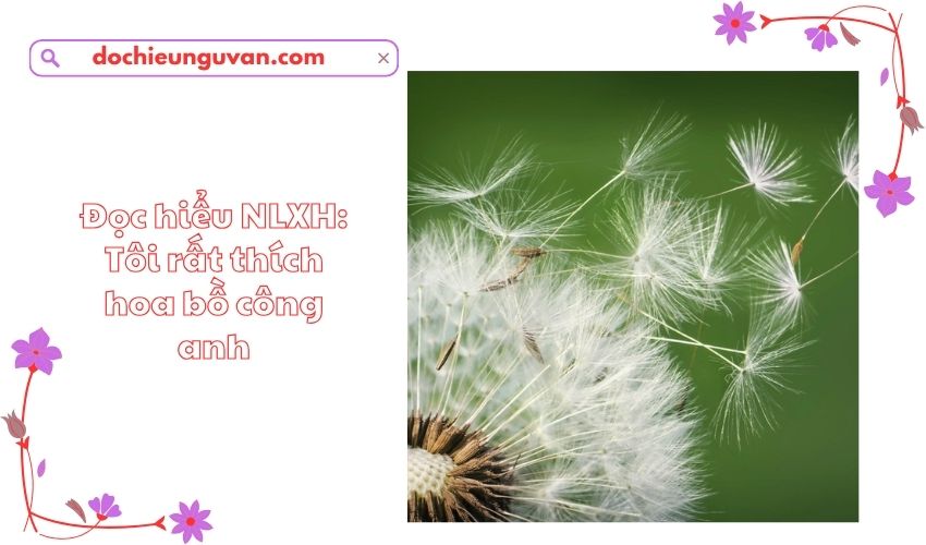 Đọc hiểu NLXH: Tôi rất thích hoa bồ công anh
