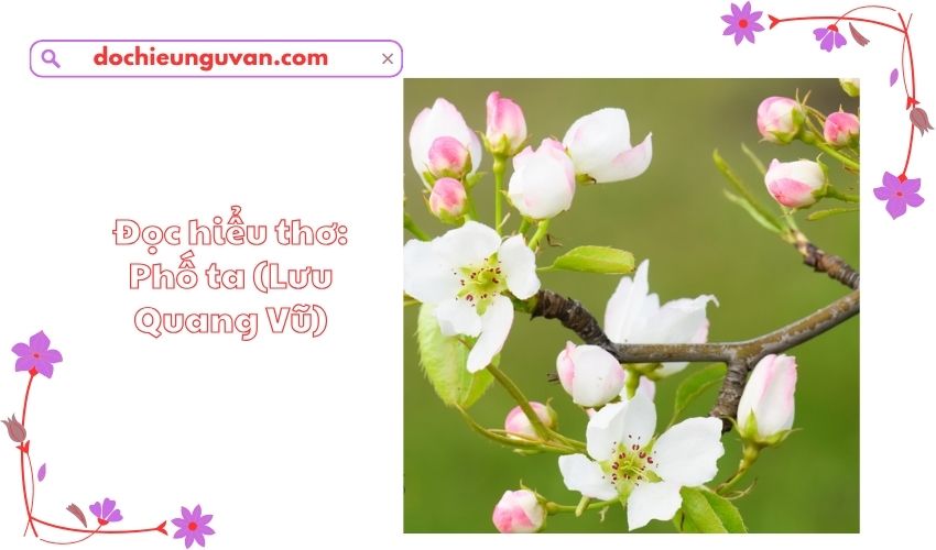 Đọc hiểu thơ: Phố ta (Lưu Quang Vũ)