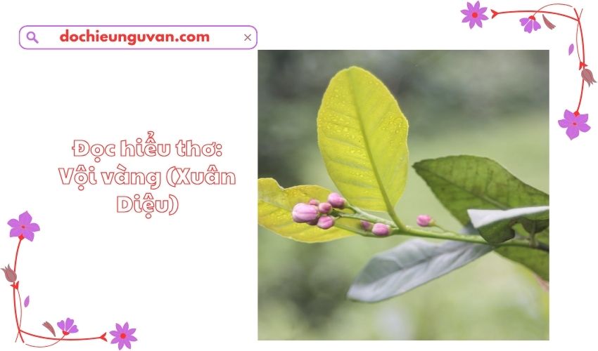 Đọc hiểu thơ: Vội vàng (Xuân Diệu)