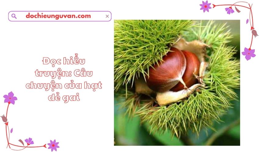 Đọc hiểu truyện: Câu chuyện của hạt dẻ gai