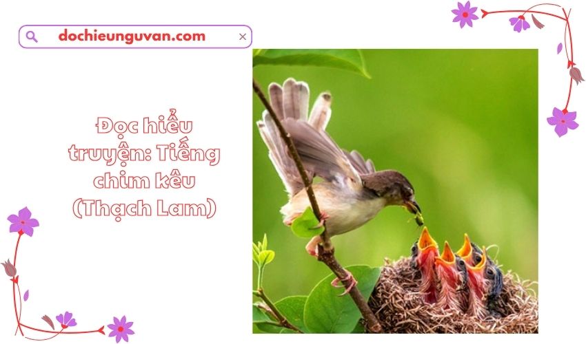 Đọc hiểu truyện: Tiếng chim kêu (Thạch Lam)