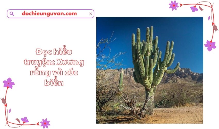 Đọc hiểu truyện: Xương rồng và cúc biển