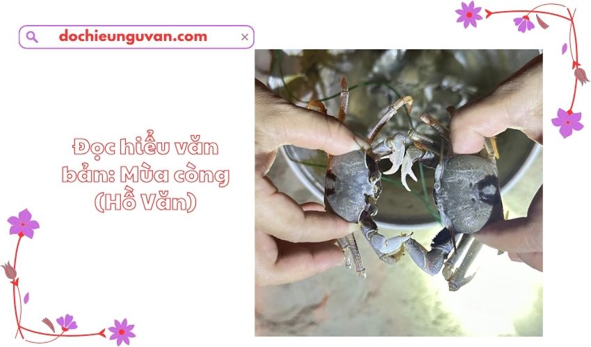 Đọc hiểu văn bản: Mùa còng (Hồ Văn)