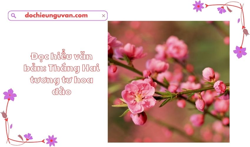 Đọc hiểu văn bản: Tháng Hai tương tư hoa đào