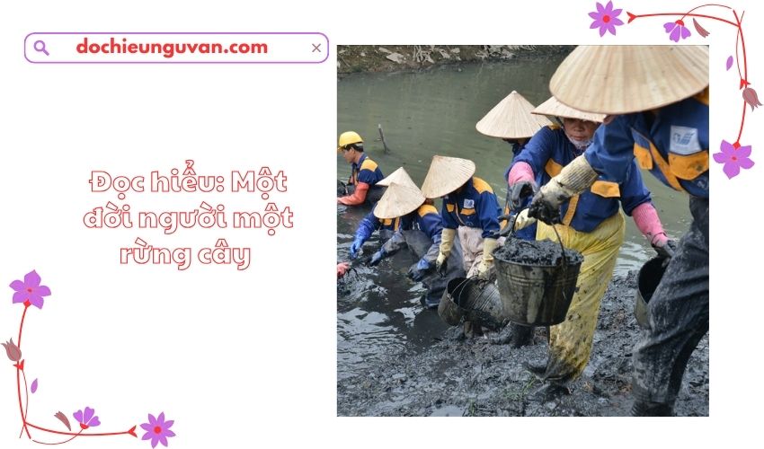 Đọc hiểu: Một đời người một rừng cây