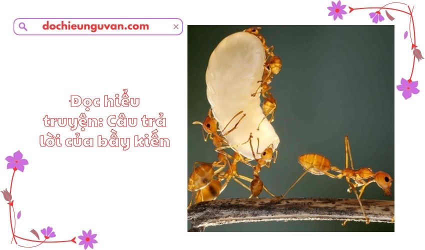 Đọc hiểu truyện: Câu trả lời của bầy kiến