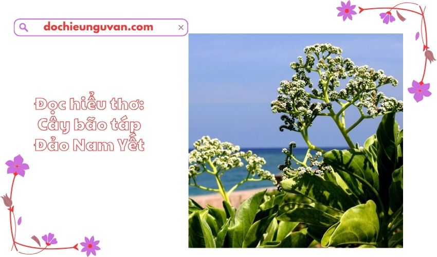 Đọc hiểu thơ: Cây bão táp Đảo Nam Yết