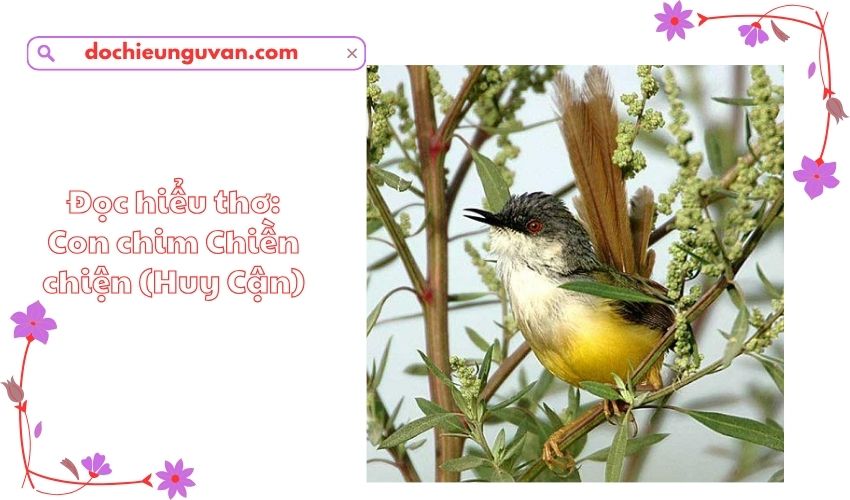 Đọc hiểu thơ: Con chim Chiền chiện (Huy Cận)
