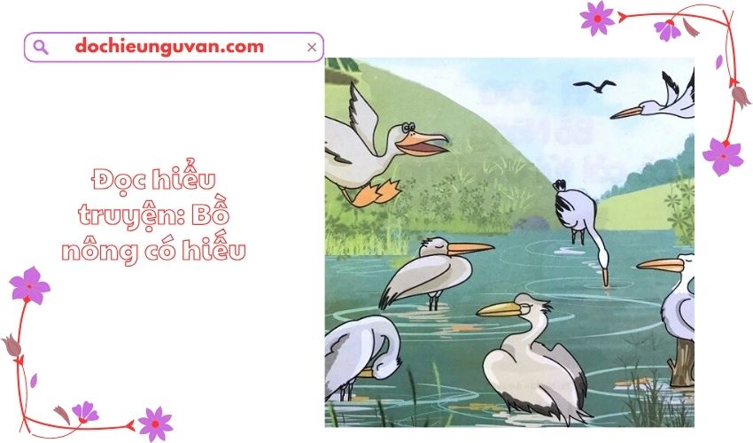 Đọc hiểu truyện: Bồ nông có hiếu