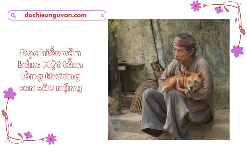 Đọc hiểu văn bản: Một tấm lòng thương con sâu nặng