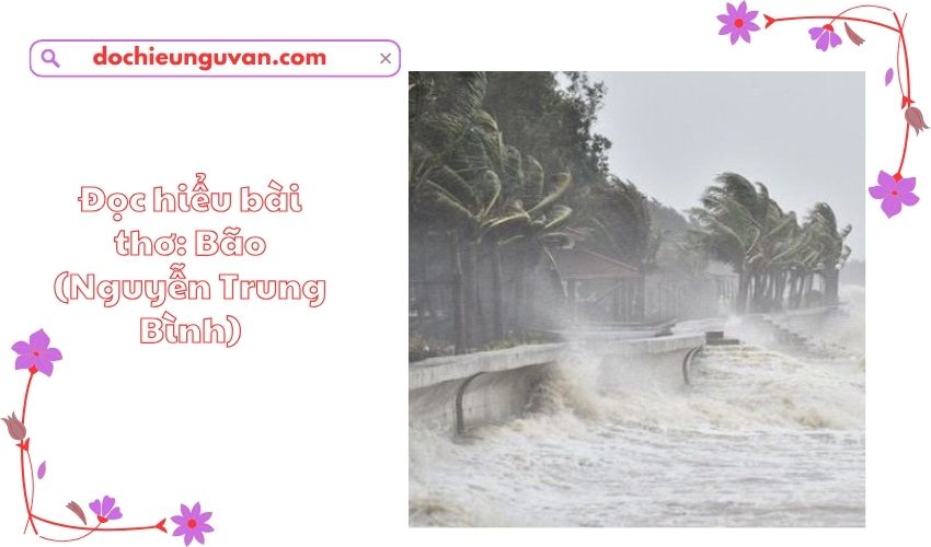 Đọc hiểu bài thơ: Bão (Nguyễn Trung Bình)
