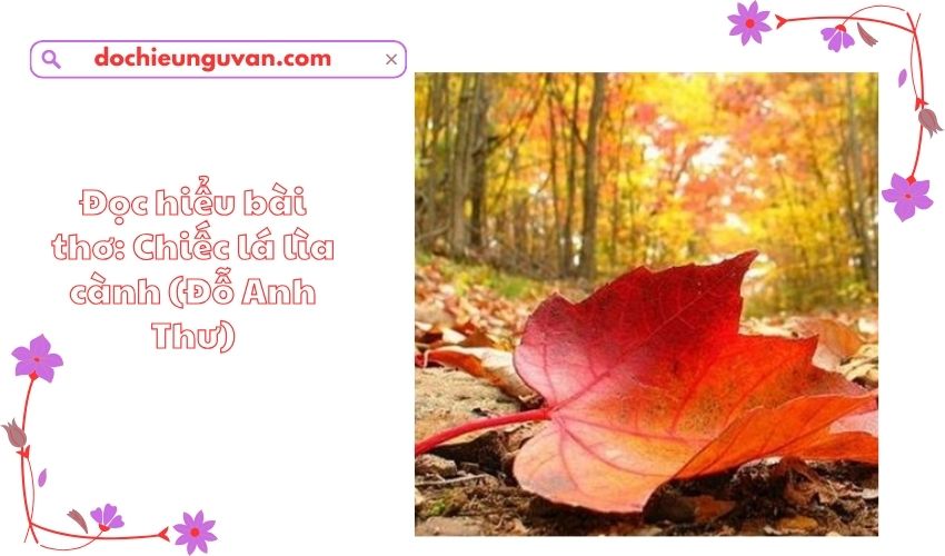 Đọc hiểu bài thơ: Chiếc lá lìa cành (Đỗ Anh Thư)