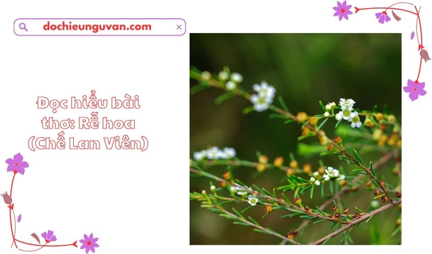 Đọc hiểu bài thơ: Rễ hoa (Chế Lan Viên)