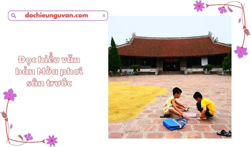 Đọc hiểu văn bản Mùa phơi sân trước