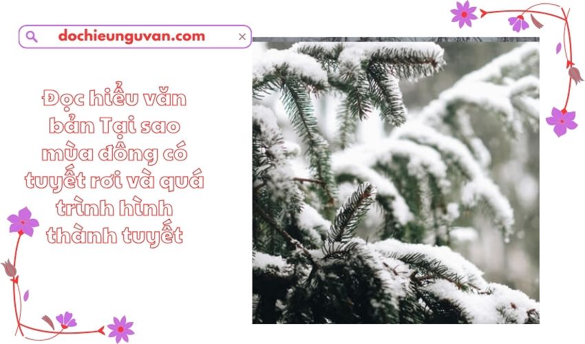 Đọc hiểu văn bản Tại sao mùa đông có tuyết rơi và quá trình hình thành tuyết